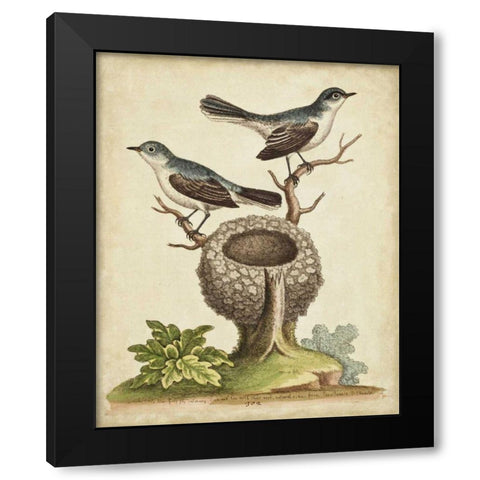 Natural Habitat II Black Modern Wood Framed Art Print by Edwards, George