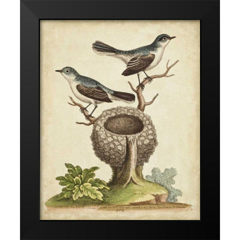 Natural Habitat II Black Modern Wood Framed Art Print by Edwards, George
