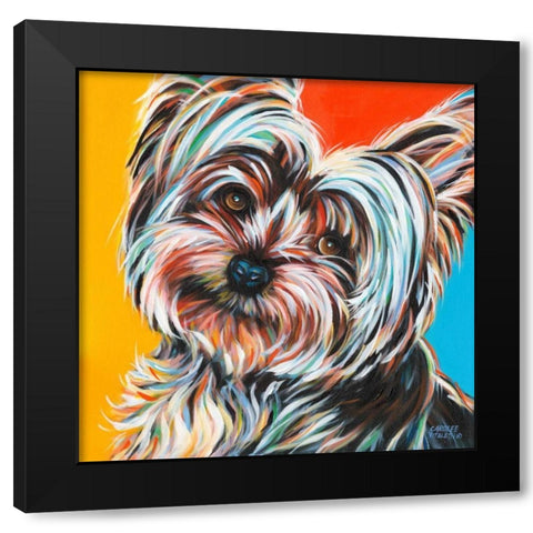 Sweet Yorkie II Black Modern Wood Framed Art Print by Vitaletti, Carolee