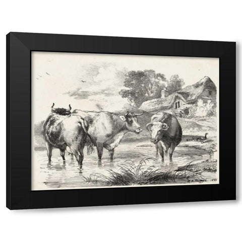 Rural Charms I Black Modern Wood Framed Art Print by Unknown