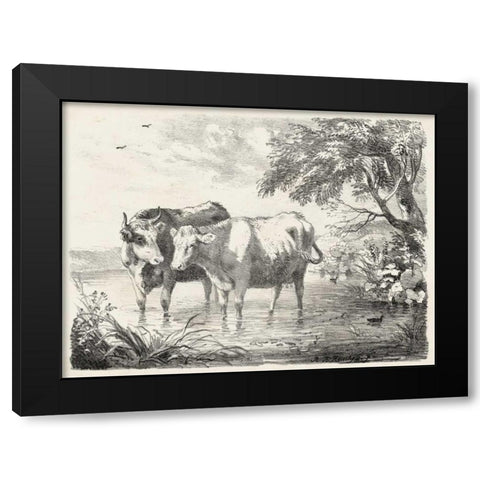 Rural Charms II Black Modern Wood Framed Art Print by Unknown