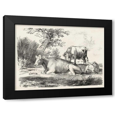 Rural Charms IV Black Modern Wood Framed Art Print by Unknown