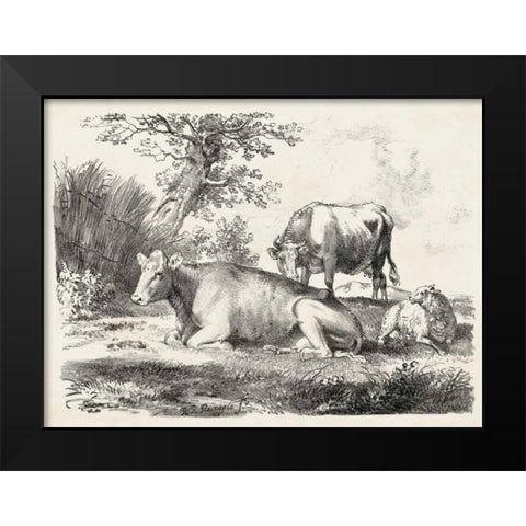 Rural Charms IV Black Modern Wood Framed Art Print by Unknown