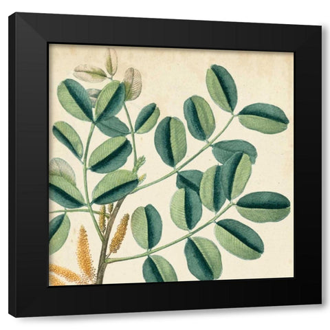 Garden Bounty IX Black Modern Wood Framed Art Print with Double Matting by Vision Studio