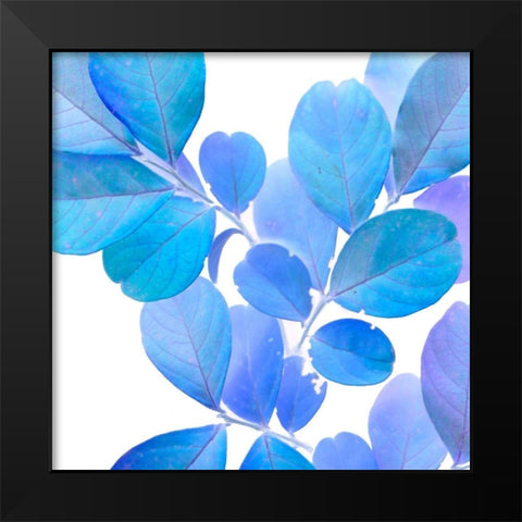 Xray Leaves I Black Modern Wood Framed Art Print by Vision Studio