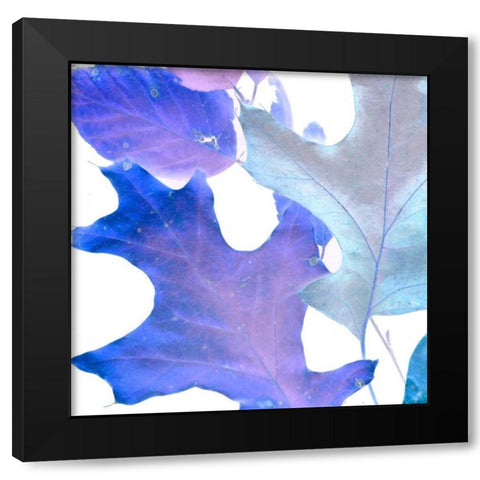 Xray Leaves II Black Modern Wood Framed Art Print with Double Matting by Vision Studio