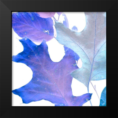 Xray Leaves II Black Modern Wood Framed Art Print by Vision Studio