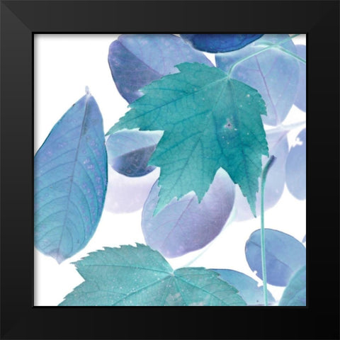 Xray Leaves III Black Modern Wood Framed Art Print by Vision Studio