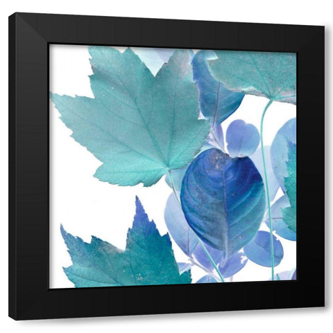 Xray Leaves IV Black Modern Wood Framed Art Print with Double Matting by Vision Studio