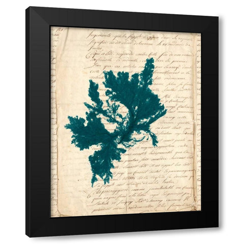 Vintage Teal Seaweed IV Black Modern Wood Framed Art Print by Vision Studio