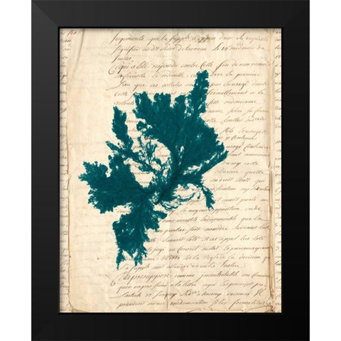 Vintage Teal Seaweed IV Black Modern Wood Framed Art Print by Vision Studio