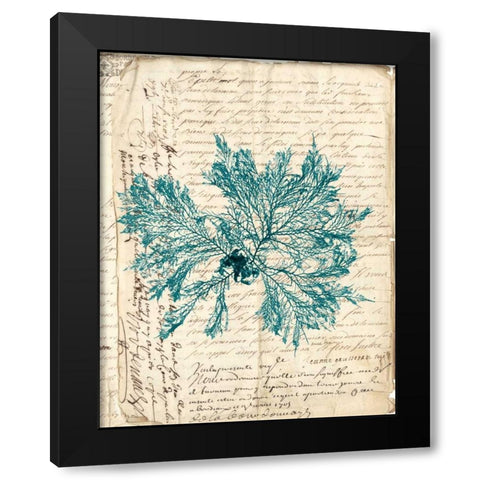 Vintage Teal Seaweed VI Black Modern Wood Framed Art Print with Double Matting by Vision Studio