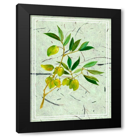 Olives on Textured Paper II Black Modern Wood Framed Art Print with Double Matting by Wang, Melissa