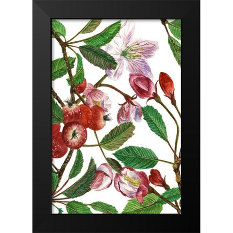 Malus Melliana I Black Modern Wood Framed Art Print by Wang, Melissa