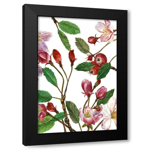 Malus Melliana II Black Modern Wood Framed Art Print by Wang, Melissa