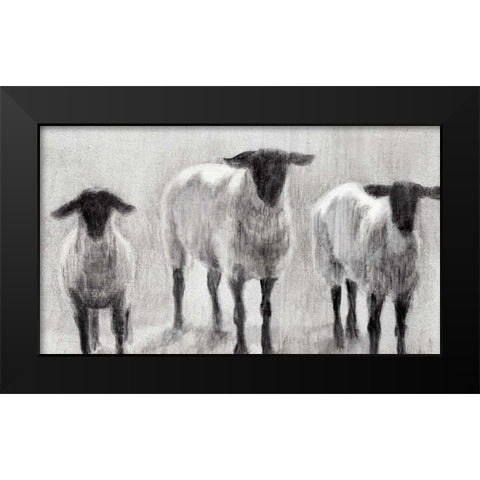 Rustic Sheep II Black Modern Wood Framed Art Print by Harper, Ethan