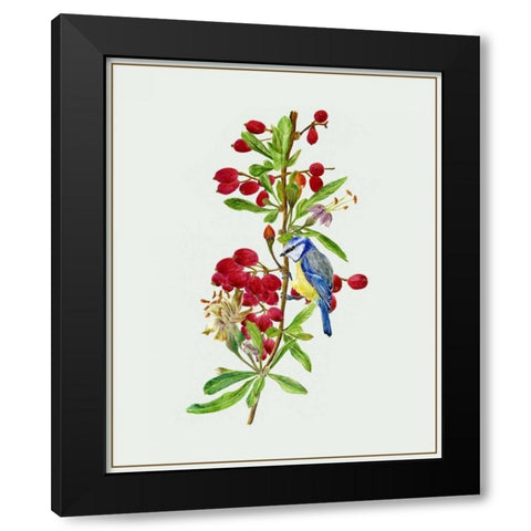 Lycium Barbarum I Black Modern Wood Framed Art Print by Wang, Melissa
