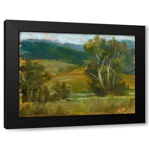 Changing Sunlight IV Black Modern Wood Framed Art Print by Harper, Ethan