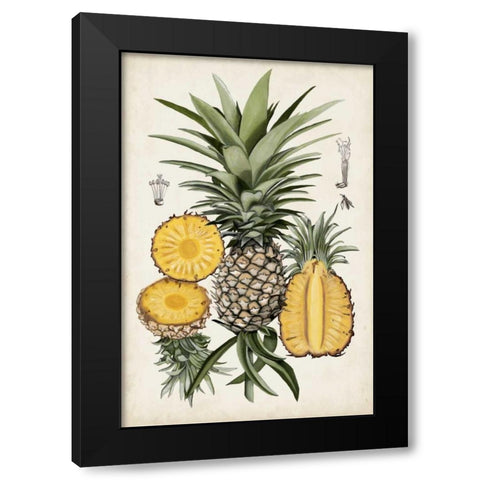 Pineapple Botanical Study I Black Modern Wood Framed Art Print with Double Matting by McCavitt, Naomi
