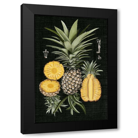 Graphic Pineapple Botanical Study I Black Modern Wood Framed Art Print with Double Matting by McCavitt, Naomi