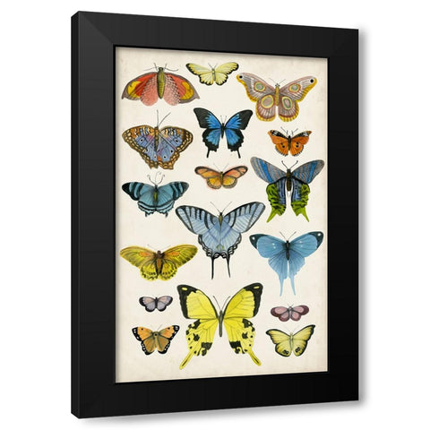 Butterfly Taxonomy II Black Modern Wood Framed Art Print by McCavitt, Naomi