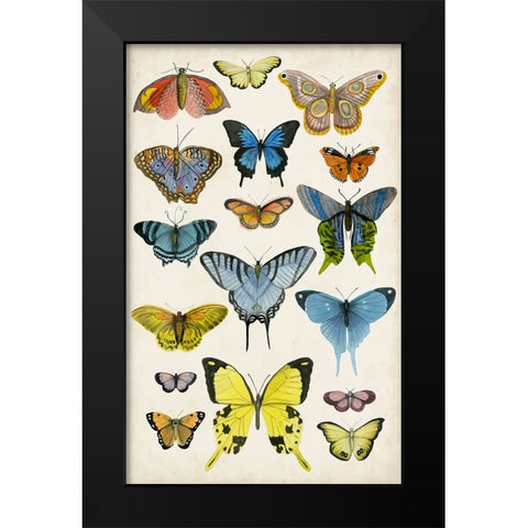 Butterfly Taxonomy II Black Modern Wood Framed Art Print by McCavitt, Naomi