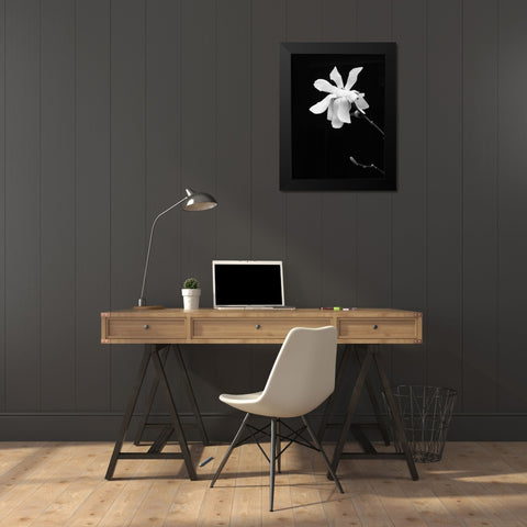 Floral Portrait VII Black Modern Wood Framed Art Print by Pica, Jeff