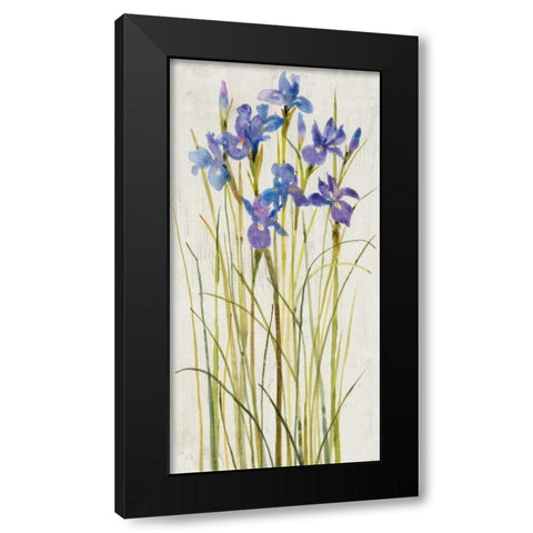 Iris Patch I Black Modern Wood Framed Art Print by OToole, Tim