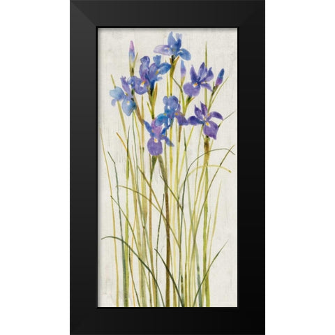 Iris Patch I Black Modern Wood Framed Art Print by OToole, Tim