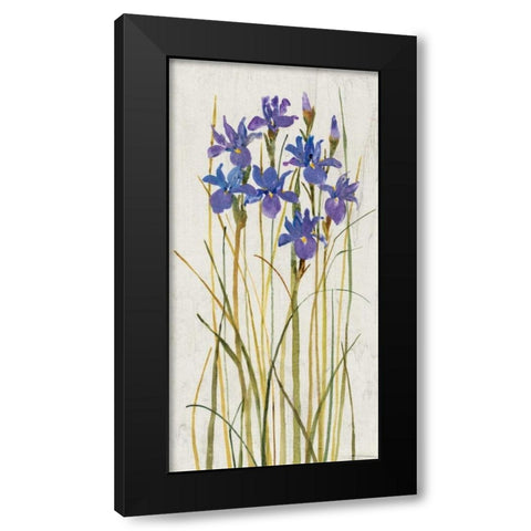 Iris Patch II Black Modern Wood Framed Art Print by OToole, Tim