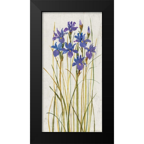 Iris Patch II Black Modern Wood Framed Art Print by OToole, Tim
