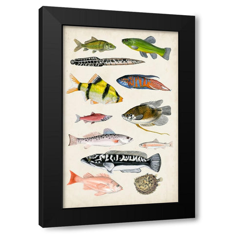 Antique Aquarium I Black Modern Wood Framed Art Print by McCavitt, Naomi