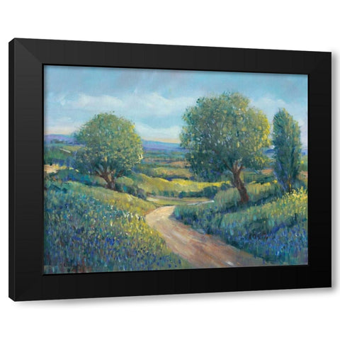 Country Sentrees II Black Modern Wood Framed Art Print with Double Matting by OToole, Tim