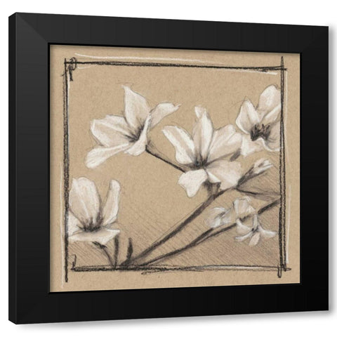 White Floral Study I Black Modern Wood Framed Art Print by Harper, Ethan