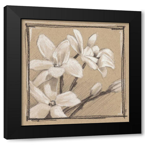 White Floral Study III Black Modern Wood Framed Art Print with Double Matting by Harper, Ethan
