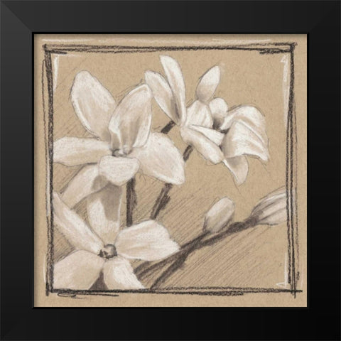 White Floral Study III Black Modern Wood Framed Art Print by Harper, Ethan