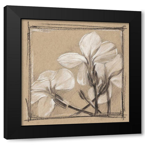 White Floral Study IV Black Modern Wood Framed Art Print by Harper, Ethan