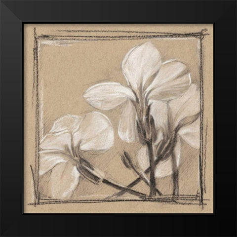 White Floral Study IV Black Modern Wood Framed Art Print by Harper, Ethan