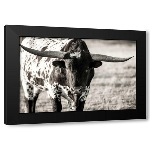 Longhorn Portrait Black Modern Wood Framed Art Print with Double Matting by Stockton, Tyler