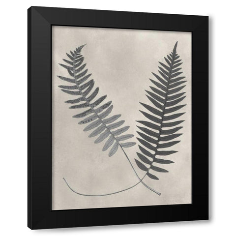 Vintage Fern Study III Black Modern Wood Framed Art Print with Double Matting by Vision Studio