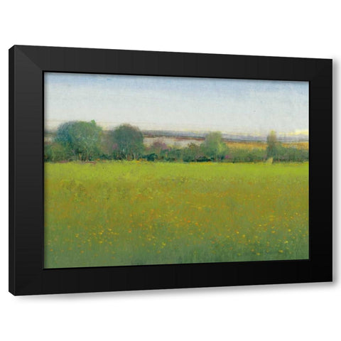 Verdant Countryside II Black Modern Wood Framed Art Print by OToole, Tim