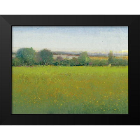 Verdant Countryside II Black Modern Wood Framed Art Print by OToole, Tim