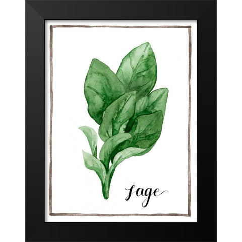 Watercolor Herbs VI Black Modern Wood Framed Art Print by Popp, Grace