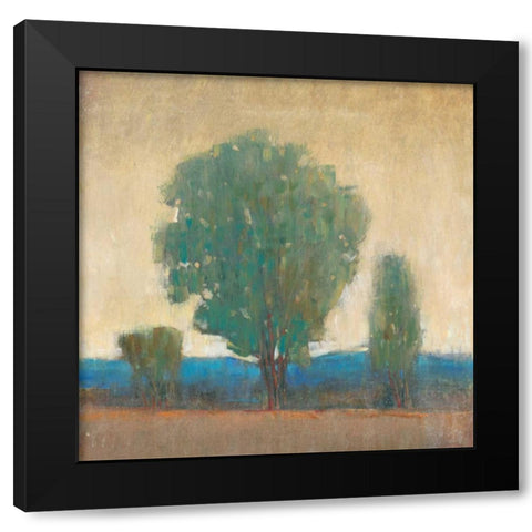 Clearing Storm I Black Modern Wood Framed Art Print with Double Matting by OToole, Tim