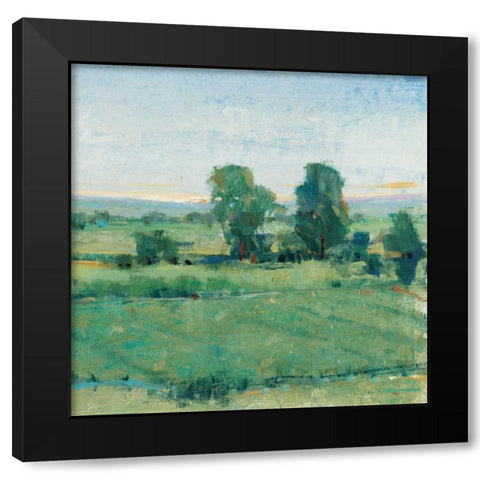 Spring Meadow II Black Modern Wood Framed Art Print by OToole, Tim