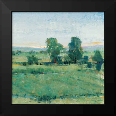 Spring Meadow II Black Modern Wood Framed Art Print by OToole, Tim