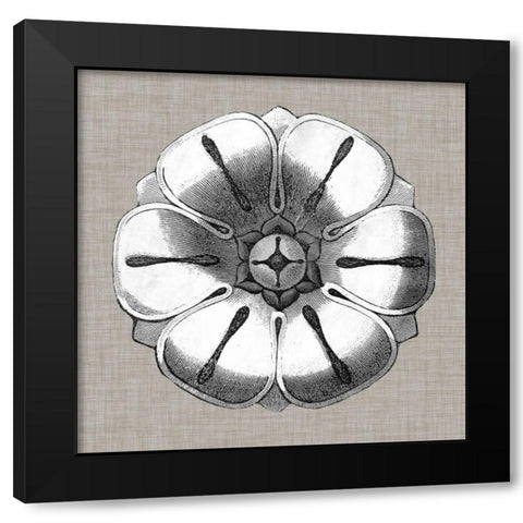 Neutral Rosette Detail I Black Modern Wood Framed Art Print by Vision Studio