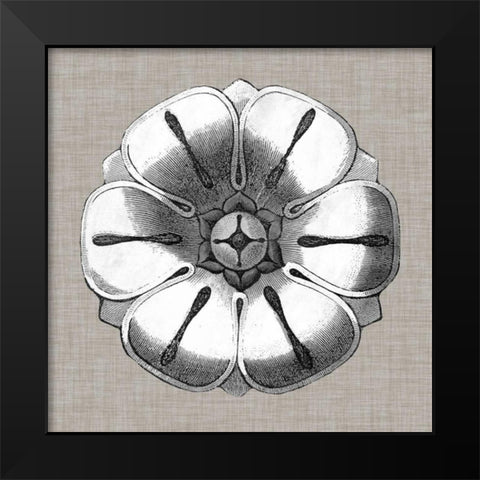 Neutral Rosette Detail I Black Modern Wood Framed Art Print by Vision Studio