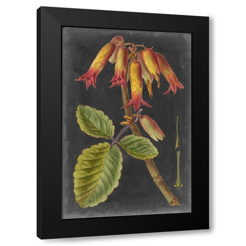 Dramatic Tropicals III Black Modern Wood Framed Art Print with Double Matting by Vision Studio