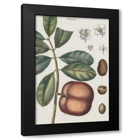 Exotic Botanique IV Black Modern Wood Framed Art Print by Vision Studio